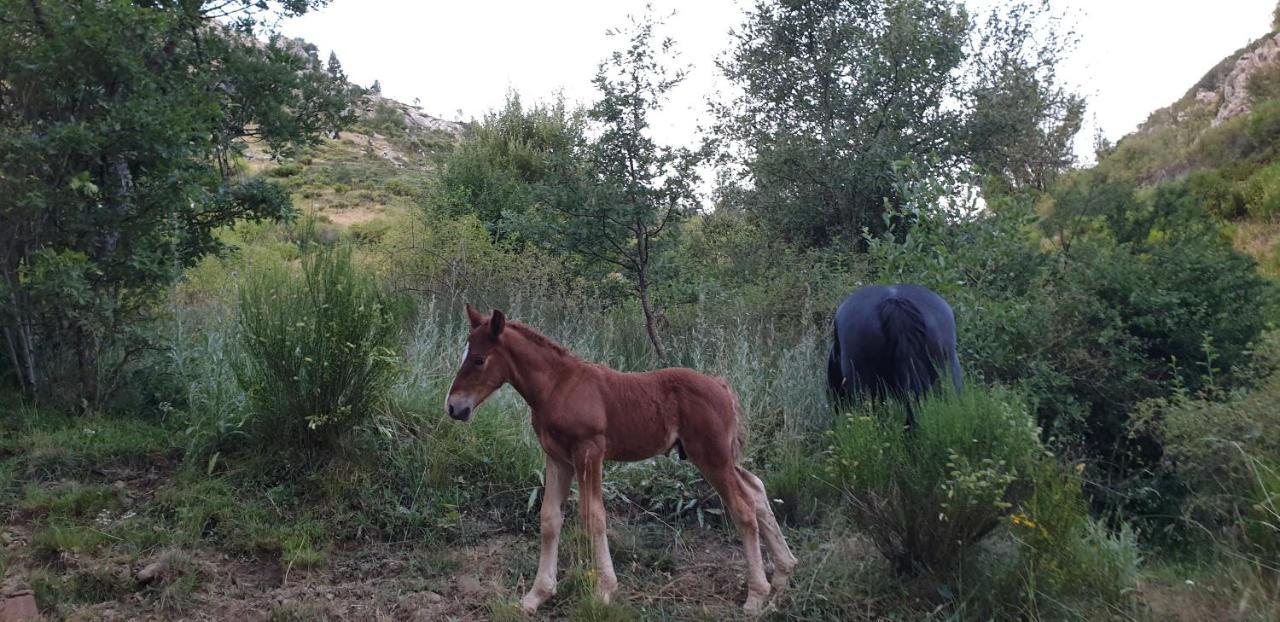 Casa Rural Carmen Luna Mallo de Luna 外观 照片